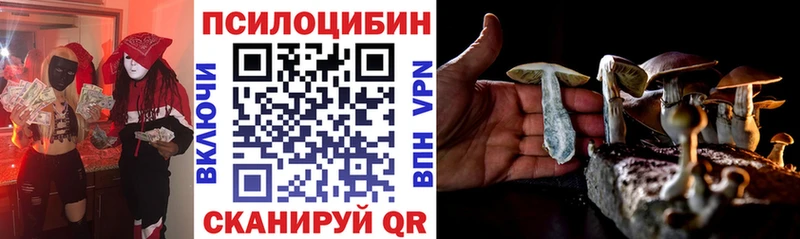 Галлюциногенные грибы Cubensis  Купить  Нововоронеж 